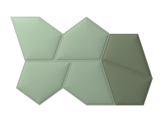 Penray 01 Module